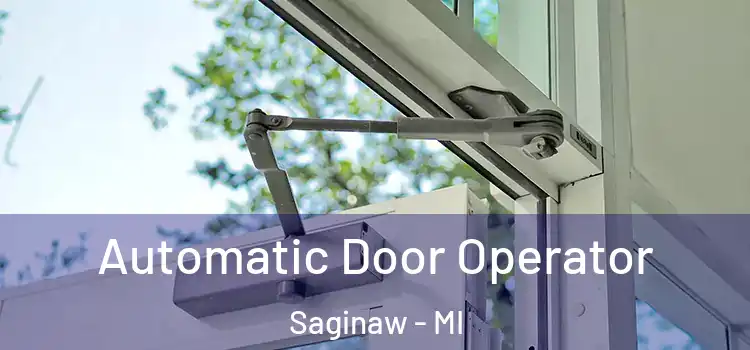 Automatic Door Operator Saginaw - MI