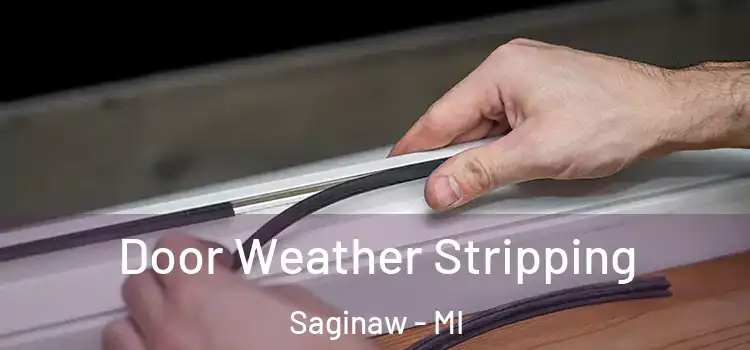 Door Weather Stripping Saginaw - MI