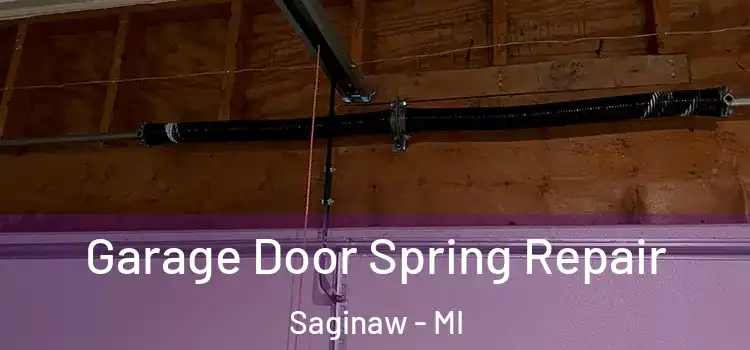  Garage Door Spring Repair Saginaw - MI