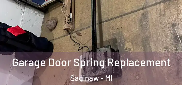  Garage Door Spring Replacement Saginaw - MI