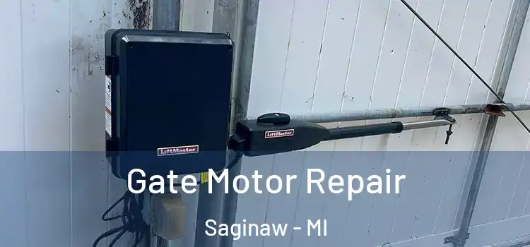Gate Motor Repair Saginaw - MI