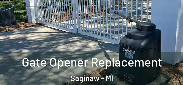  Gate Opener Replacement Saginaw - MI
