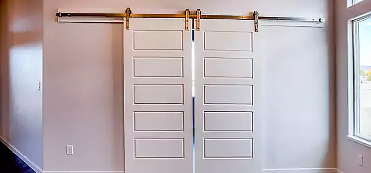 Glass Barn Door with Installation Hardware Kit Saginaw