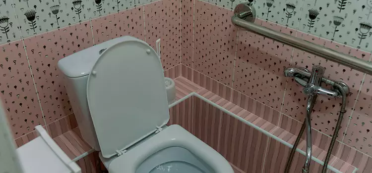Meeting Diverse Needs With Accessible Restroom Solutions in Saginaw, MI