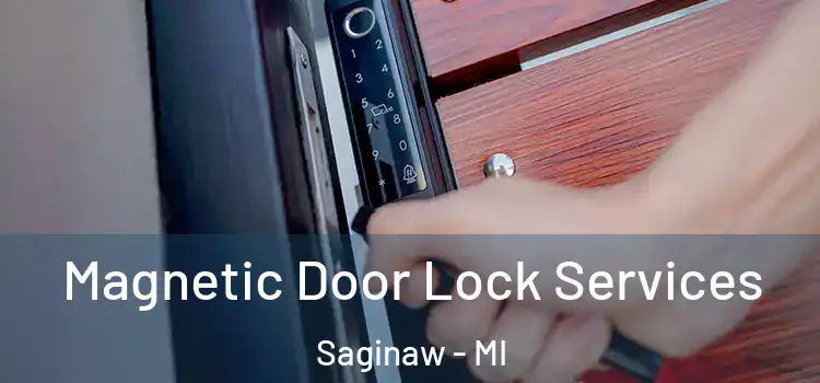 Magnetic Door Lock Services Saginaw - MI