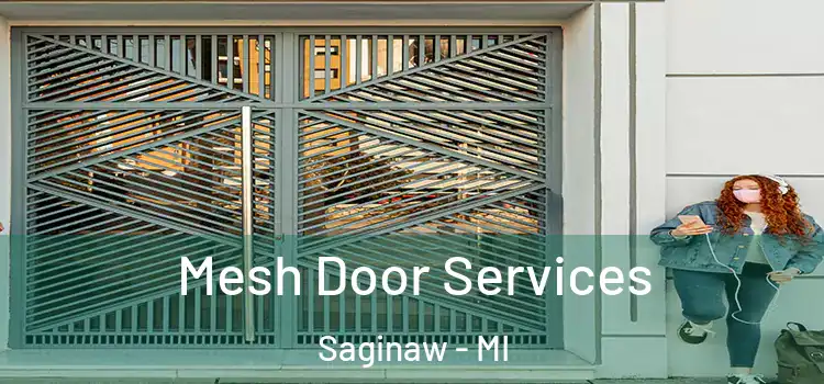 Mesh Door Services Saginaw - MI
