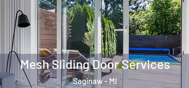 Mesh Sliding Door Services Saginaw - MI
