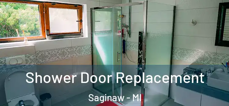 Shower Door Replacement Saginaw - MI