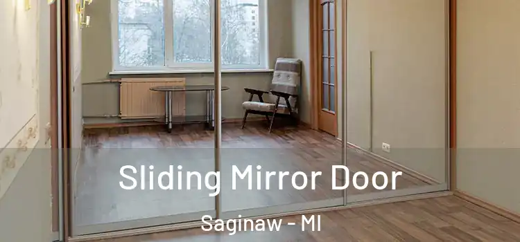  Sliding Mirror Door Saginaw - MI