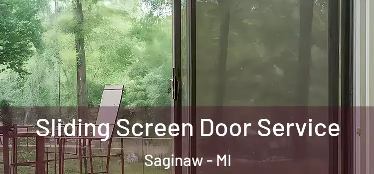 Sliding Screen Door Service Saginaw - MI